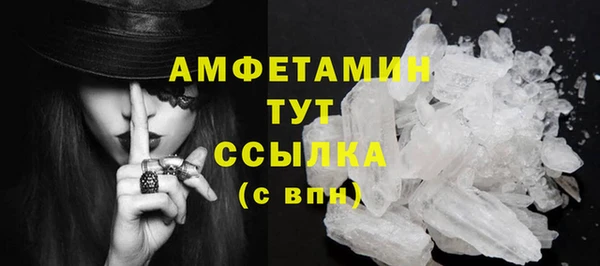 молекула духа Белокуриха