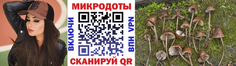 Галлюциногенные грибы MAGIC MUSHROOMS  где купить   Щёкино 